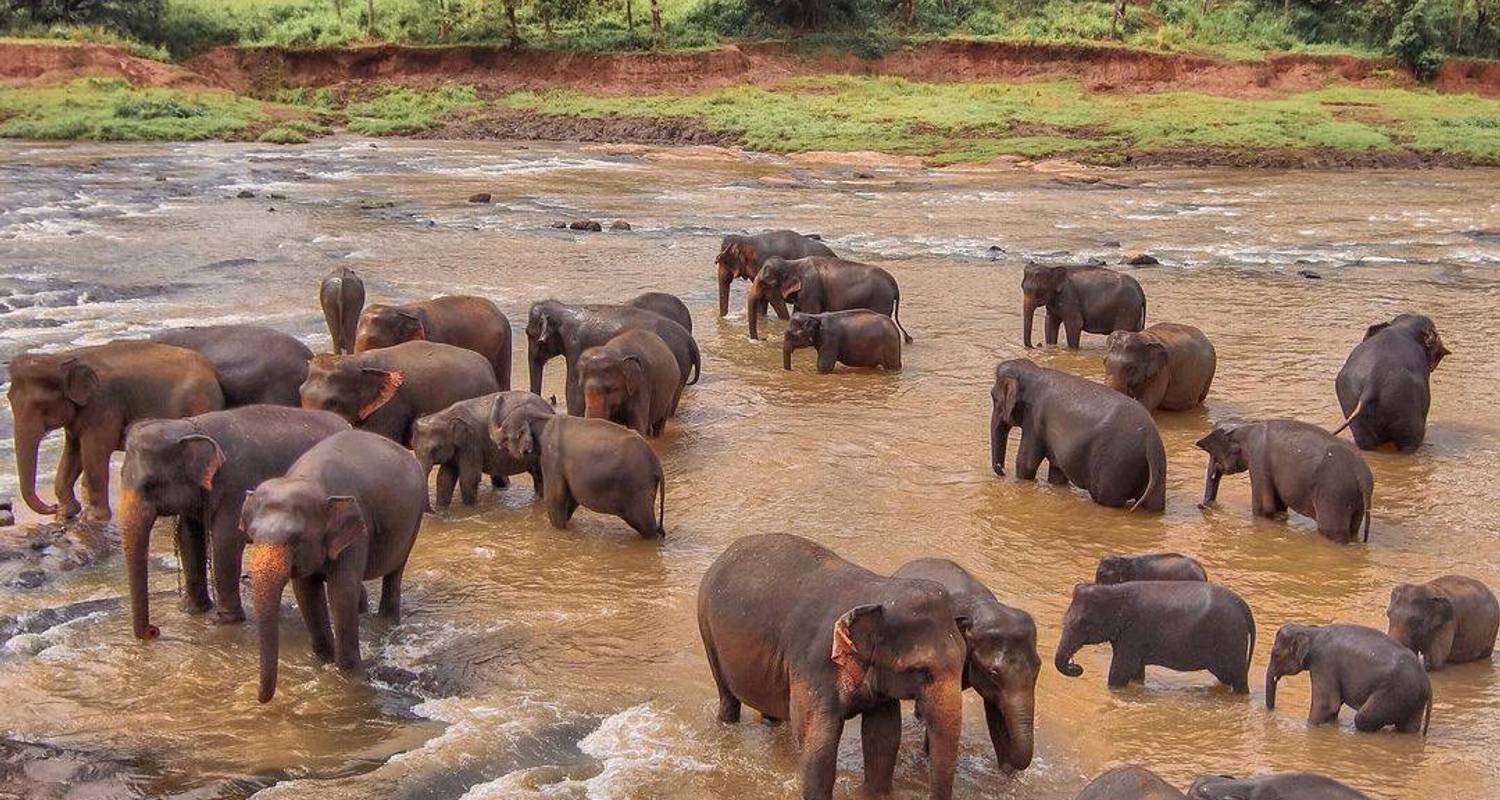 Sri Lanka Express 15 tourist spots in 6 days & Drop at South Beach