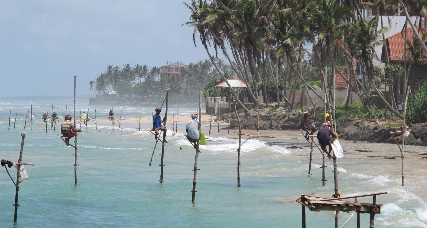 stilt fishing sri lanka