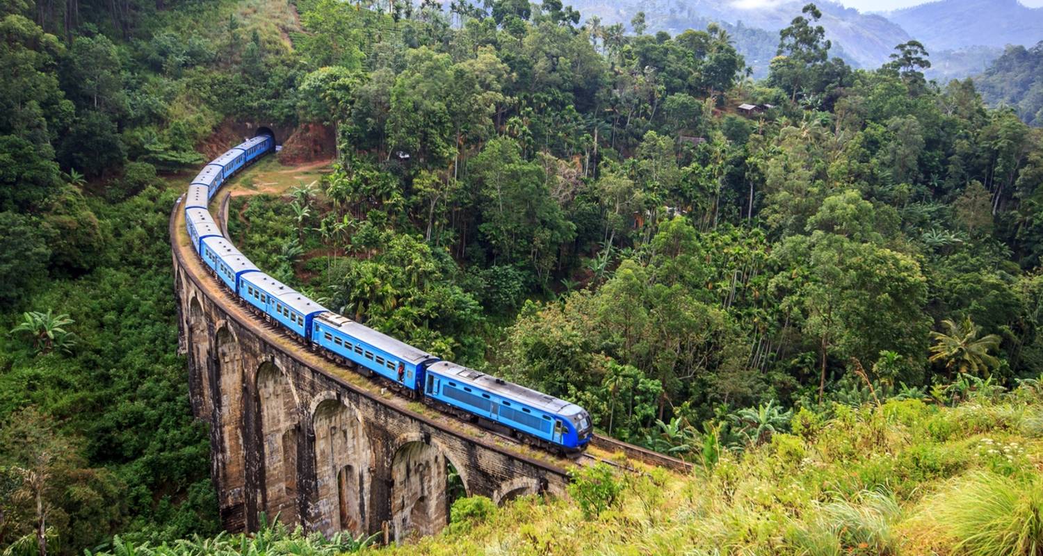 Train tours in Sri lanka